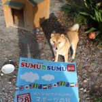 SUMUSUMUに掲載！